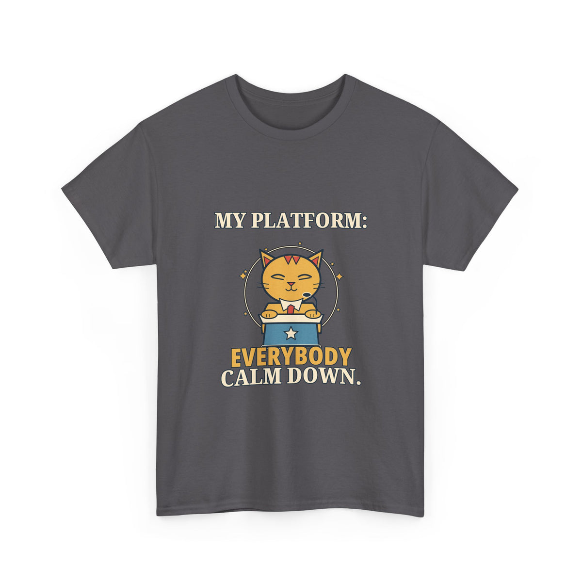 My Platform: Everybody Calm Down — Politics T-Shirt