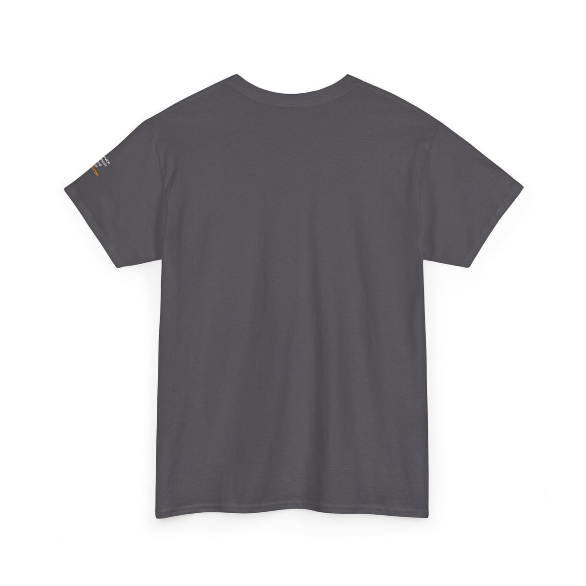 Service Doesn't End at Discharge — Praetorian League T-Shirt