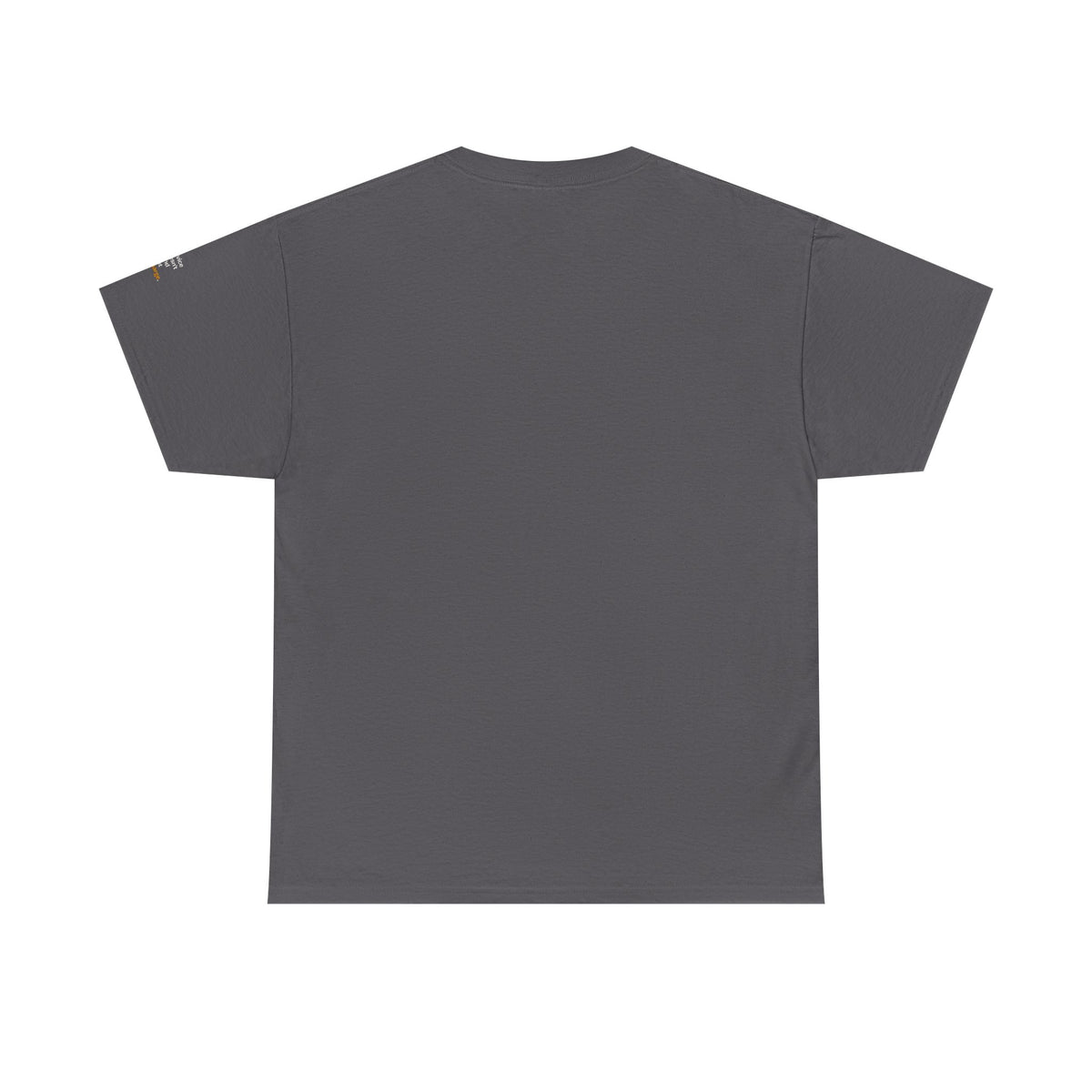Service Doesn't End at Discharge — Praetorian League T-Shirt